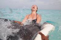 Stingray City Experience Plus Two Snorkeling Stops