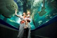Sunshine Coast UnderWater World Entrance Ticket