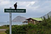 Surf Adventure Tour in Rio de Janeiro