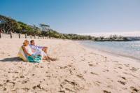 Sydney Shore Excursion: Half-Day Sydney City Highlights with Lunch at Bondi Beach