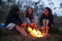 Sydney to Cairns Hop-on Hop-off Travel Pass