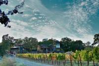 Tasting Experience at Gracianna Winery