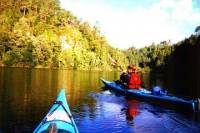 Tauranga Shore Excursion: Wairoa River Kayak Tour