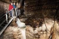 Te Anau Glow Worm Caves Tour
