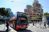 Tenerife Shore Excursion: City Sightseeing Santa Cruz de Tenerife Hop-On Hop-Off Tour