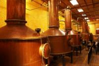 Tequila Day Trip: Herradura Tequila Distillery