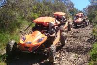 The Algarve Buggy Experience