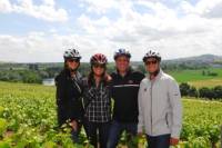 The Champagne Region Bike Tour from Paris
