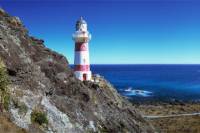 The Lord of the Rings and Palliser Bay Tour from Wellington