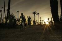 The Palmery Off-Road Bike Tour from Marrakech