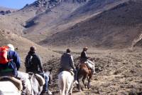 The Real Gaucho Day Trip from Mendoza: Don Daniel Ranch