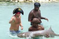 The Swim, Hold and Feed the Sharks Program
