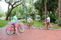 The Vibe of Fort Lauderdale Bike Tour