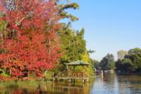 Tigre Delta Sightseeing Cruise from Buenos Aires