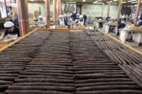 Toscano Cigar Factory Tour in Lucca