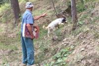 Truffle Hunting and Barolo Wine Tasting Half-Day Tour
