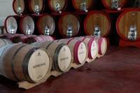 Tuscany All Day Wine Tour: Siena and San Gimignano