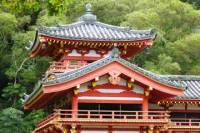 Uji Walking Tour with Tea Ceremony from Kyoto