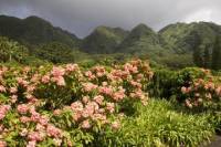 Valley of the Rainbows Oahu Small Group Adventure