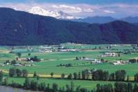 Vancouver Shore Excursion: Fraser Valley Wine Country Day Trip from Vancouver