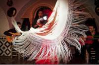 Viator Exclusive: Flamenco Lesson and Flamenco Show at Tablao Cordobes in Barcelona