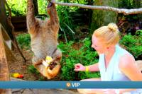 Viator VIP: Keeper-for-a-Day Program at Wild Florida