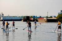 Victoria Harbour Stand-Up Paddleboard Tour