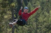 Victoria Shore Excursion: Small-Group Zipline Adventure