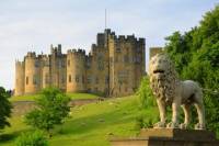 Viking Coast and Alnwick Castle Small Group Day Tour from Edinburgh