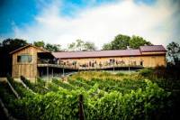 VIP Private Wine Tour with Lunch in Hershey