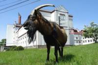 Visiting a Brewery with a Brewmaster and Explore the Countryside