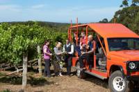 Voyager Estate Winery Tour and Tasting with Optional 2-Course Lunch or 6-Course Vineyard-to-Table Experience