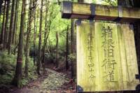 Walking Along a Medieval Road in Hakone and Odawara