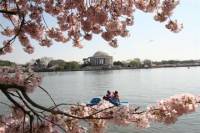 Washington DC Legend Half-Day Tour