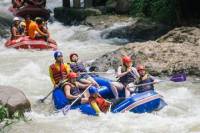 Whitewater Rafting, Elephant Trekking and Ziplining from Phuket