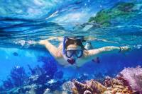 Whitsundays Sail and Snorkel at Blue Pearl Bay and Langford Reef