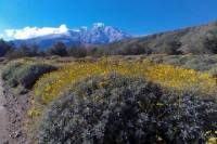 Wildlands Preserve Nature Tour