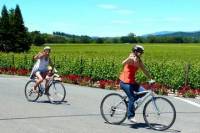 Wine Country Bike Tour and Picnic Lunch with Transport from San Francisco