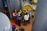 Wine Production Tour with Tasting