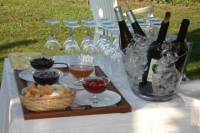 Wine Tastings in Braga
