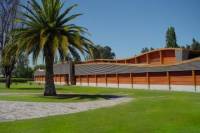 Wine Tour of Viña Almaviva