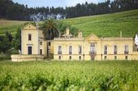 Wine Tour Quinta do Gradil