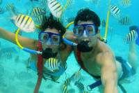 Xel-Ha All Inclusive Day Trip from Cancun