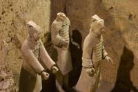 Xi'an Railway Transfer including Terracotta Warriors and Horses Museum Visit