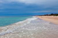 Yanchep National Park and Scarborough Beach Day Trip from Perth