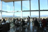 Yarra Valley Food and Wine Day Trip from Melbourne Including Lunch at Yering Station