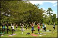 Yoga And Meditation Experience at Lodhi Gardens in Delhi