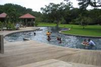 YS Falls plus Black River Safari from Falmouth