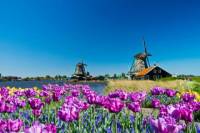 Zaanse Schans Windmills, Marken and Volendam Half-Day Trip from Amsterdam