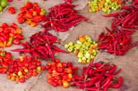 Zanzibar Food and Spices Tour Including Traditional Swahili Lunch